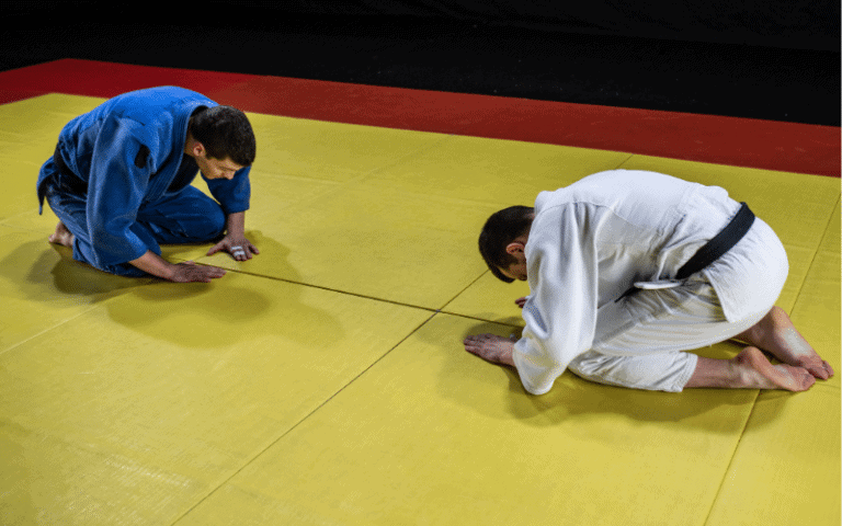 Two judokas bowing on a tatami mat in a traditional dojo setting