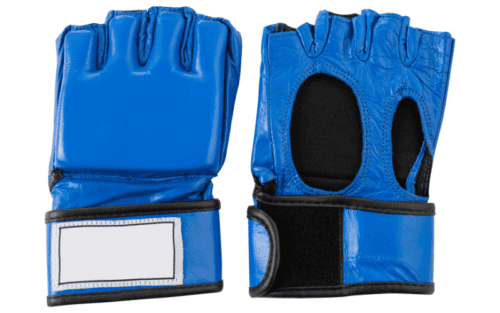 Judo Handschuhe Test: Die 10 besten (Bestenliste)
